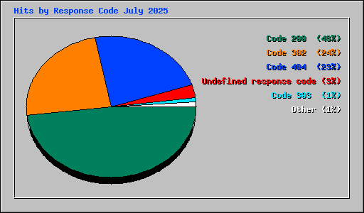 Hits by Response Code July 2025