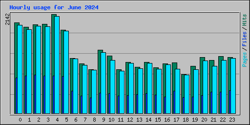 Hourly usage for June 2024