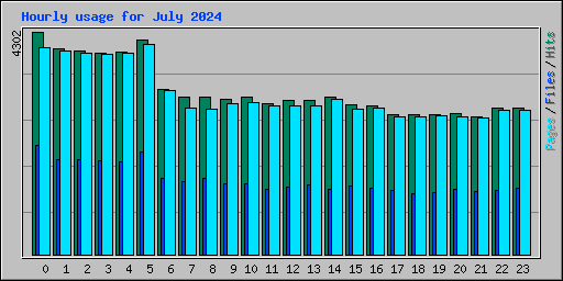Hourly usage for July 2024