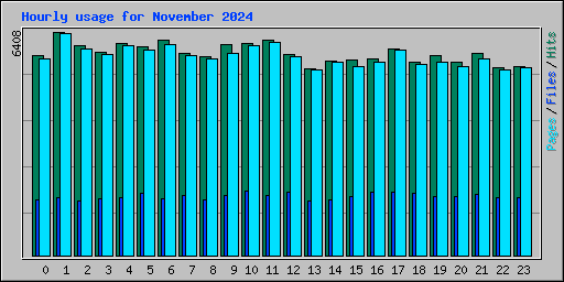 Hourly usage for November 2024