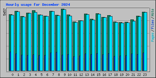 Hourly usage for December 2024
