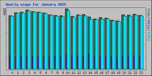 Hourly usage for January 2025