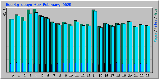 Hourly usage for February 2025