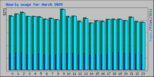 Hourly usage for March 2025