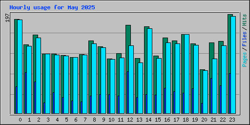 Hourly usage for May 2025
