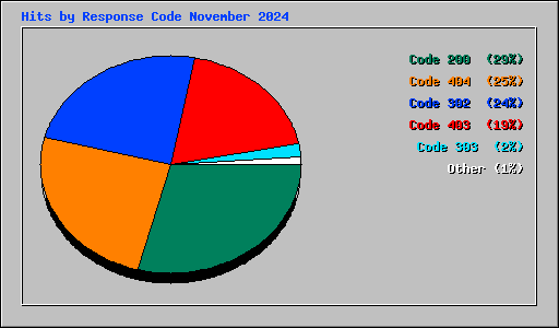 Hits by Response Code November 2024