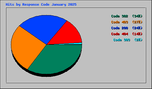 Hits by Response Code January 2025