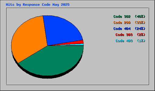 Hits by Response Code May 2025